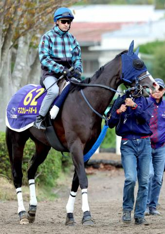 【天皇賞・秋・浅子の特注馬】東京ならマスカレードボールは古馬初対戦も好勝負　ルメール起用も勝負気配の表れ