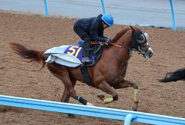 【天皇賞・秋】1週前追い切りは「もう少し動いてほしかった」アーバンシック　ハードトレで上昇を図る