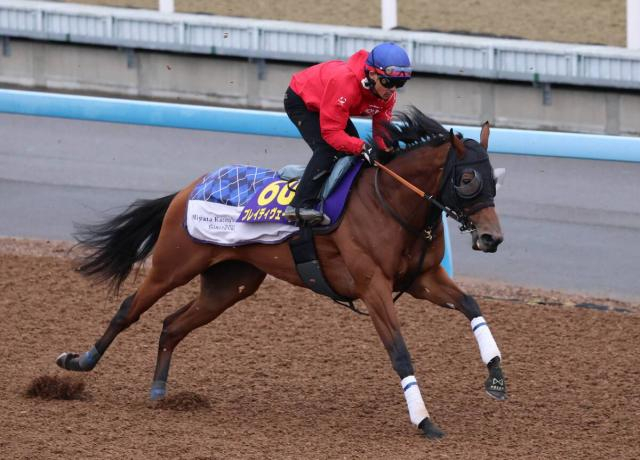 【天皇賞・秋】ブレイディヴェーグは「マイルを使った影響」を考慮し末脚を引き出す調整