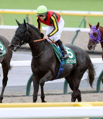 【注目馬動向】サウジアラビアRC3着のゾロアストロは東京スポーツ杯2歳Sへ