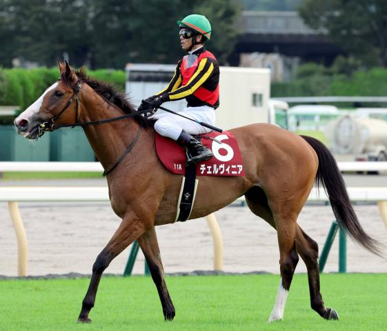 【注目馬動向】毎日王冠7着のチェルヴィニアはマイルCSへ　2戦ぶりマイルで24年の2冠牝馬が巻き返し図る