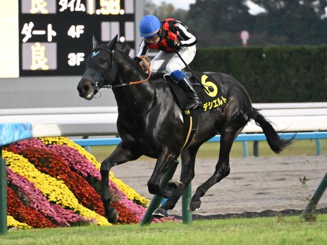 【先週のJRA抹消馬】昨年の中日新聞杯を制したデシエルト、今夏にオープン勝ちのローズスターなど
