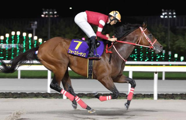 矢作調教師インタビュー2　フォーエバーヤングと描く夢「勝って、年度代表馬へ」　気になる芝挑戦は「恐らく…」