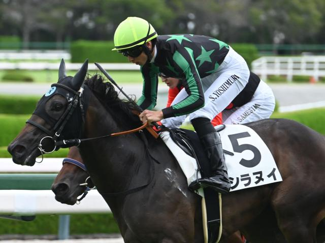 【ファンタジーS展望】データが示す波乱の使者！新馬勝ちシラヌイに妙味あり