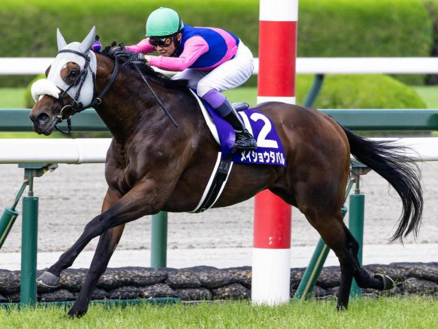 【天皇賞(秋)】武豊騎手が歴代単独トップの8勝目へ メイショウタバルで偉業に挑む