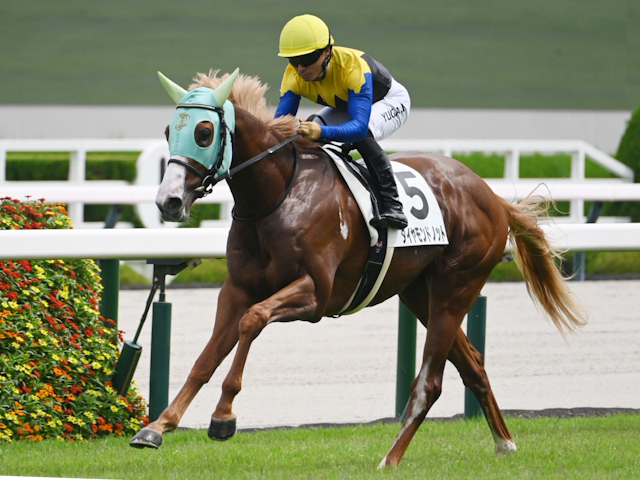 【京王杯2歳S想定馬・騎手】ダイヤモンドノット、ユウファラオなど15頭