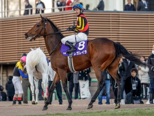 【エリザベス女王杯想定馬・騎手】レガレイラ、ステレンボッシュなど17頭