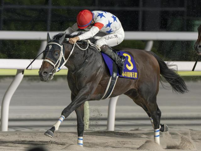 【みやこS想定馬・騎手】アウトレンジ、ラムジェットなど15頭