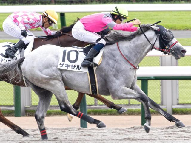 6歳秋にしてJRA初勝利 遅咲き!? のゲキザルが連勝なるか