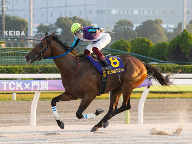 【地方競馬】ゴールドアリュールから発展するダート系種牡馬 その父系を伸ばすイグナイター