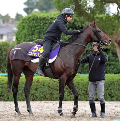 【今週の美浦・坂路ベスト10】天皇賞・秋の出走馬3頭がランクイン　コスモキュランダは51秒9の好時計