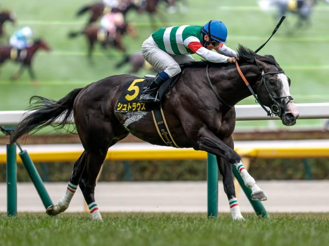 【豪・ラッセルボールディングS結果】シュトラウスは直線追い上げるも6着