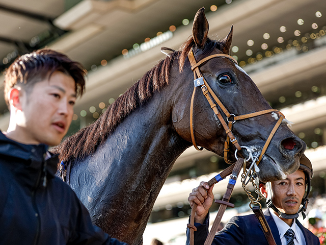 【ペルセウスSレース後コメント】ジェイパームス大野拓弥騎手ら