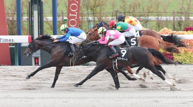 【京都9R・もちの木賞】前走1着馬15頭の混戦をパイロマンサーが制す　岩田望来騎手「この1勝がデカいと思います」