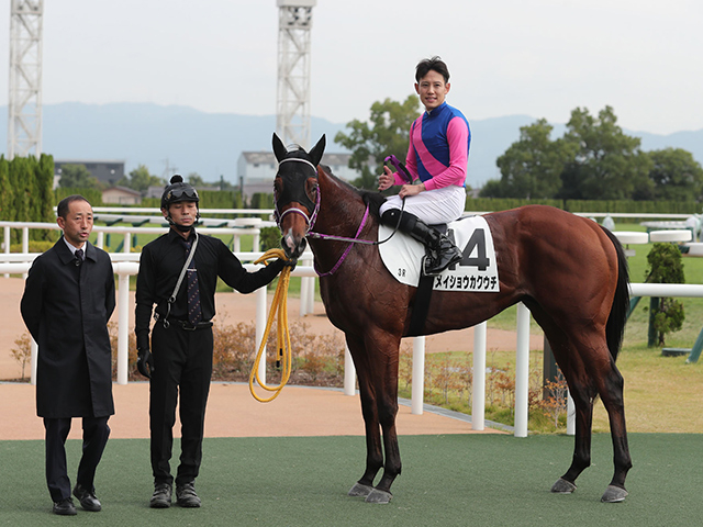 【メイクデビュー京都3Rレース後コメント】メイショウカクウチ菱田裕二騎手ら