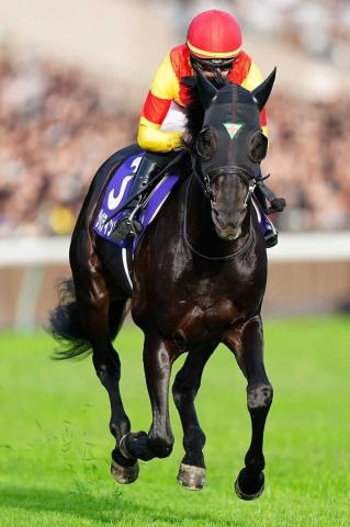 【天皇賞・秋】ジャスティンパレス3着　天皇賞の春秋制覇ならず　団野「動きたいところで動けなかった」