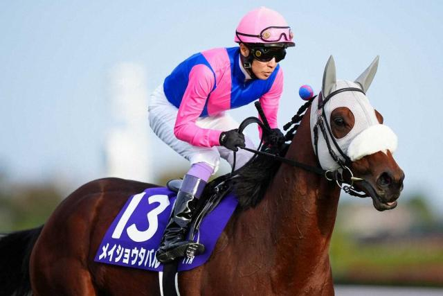 【天皇賞・秋】武豊メイショウタバルG1連勝ならず　ハナ奪うも6着「スローに落とした分…」
