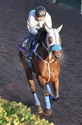 【天皇賞・秋】武豊騎手騎乗のメイショウタバル逃げて6着　G1連勝ならずも「いいリズムで走ってくれた」