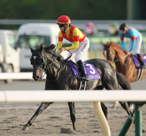 【天皇賞・秋】ペースが流れていれば「頭まであったかも」ジャスティンパレス3着　杉山晴調教師が評価