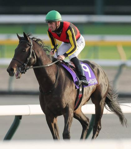 【天皇賞・秋】皐月賞馬ミュージアムマイルが2着　Cデムーロ騎手も「2000メートルは合っている」