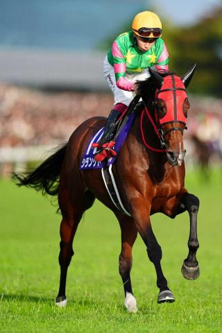 【天皇賞・秋】シランケドG1初制覇逃すも、手応え4着　横山武「G1でやれる力は見せてくれた」