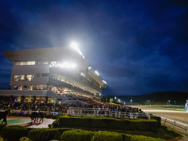 【盛岡・すずらん賞結果】9歳馬ヘリオスが差し切り重賞2勝目