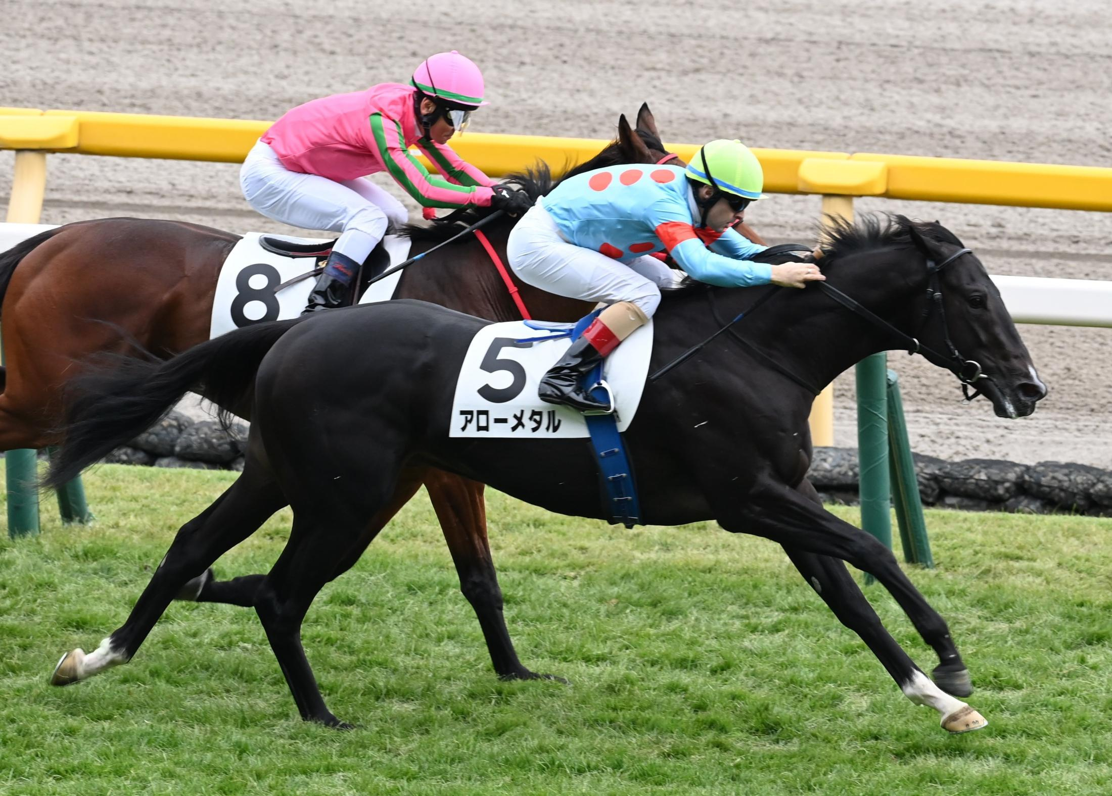 【新馬戦】アローメタル　鋭く伸びてねじ伏せた　ルメール「いい脚を使ってくれました」　将来性を高く評価