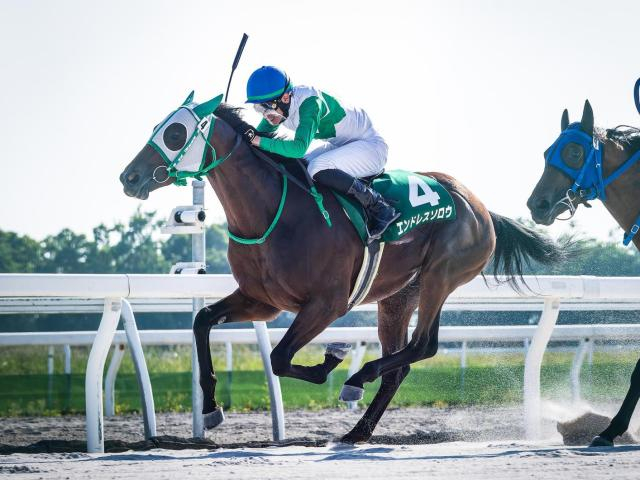 【門別・JBC2歳優駿注目馬】JRA勢はいずれも1勝馬 経験豊富なホッカイドウ競馬所属馬が力をみせるか