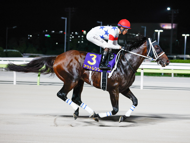 【みやこS見どころ】実績上位のアウトレンジが中心
