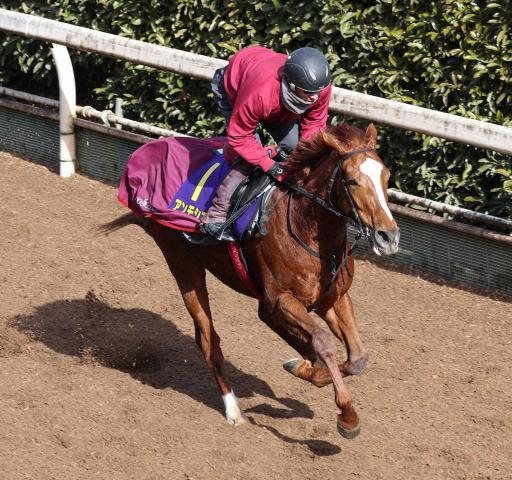 【船橋競馬　JBCレディスクラシック】アンモシエラ　逃げて連覇達成　横山武史「もうひと花咲かせた」