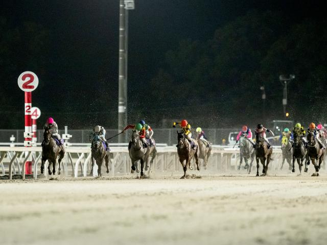 【門別・JBC2歳優駿結果】タマモフリージアが無傷2連勝でDG初制覇