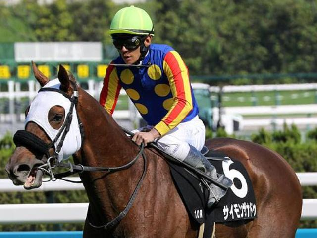 【みやこS】「凄十」の澤田昭紀オーナー サイモンザナドゥでJRA重賞初制覇狙う