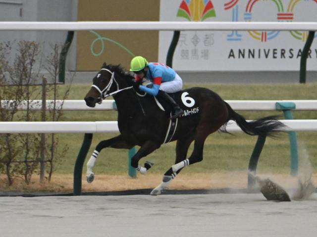 【みやこS予想オッズ】ダブルハートボンドが予想1番人気