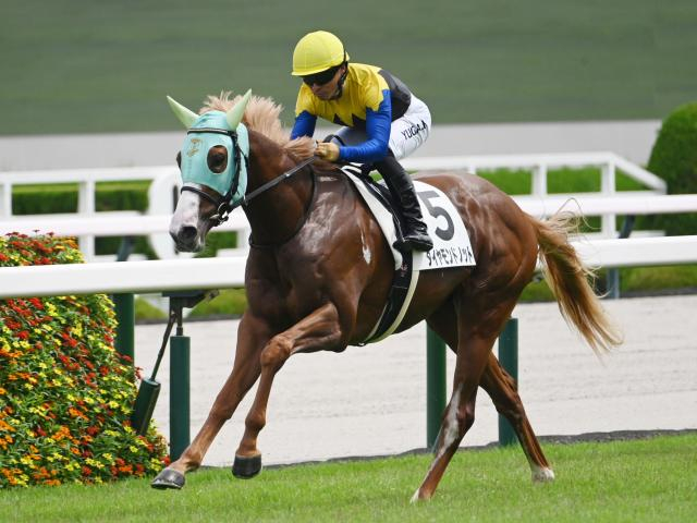 【京王杯2歳S予想オッズ】ダイヤモンドノットが予想1番人気