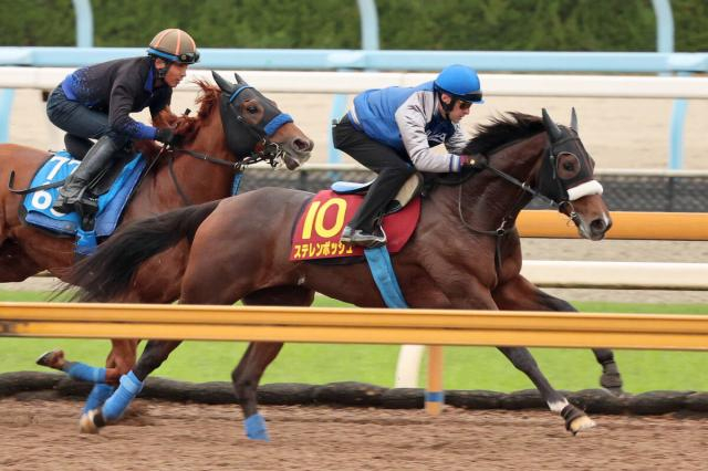 【エリザベス女王杯・1週前】復活狙うステレンボッシュは“絶好調男”ルメール騎手が騎乗　「コンディションはいい」