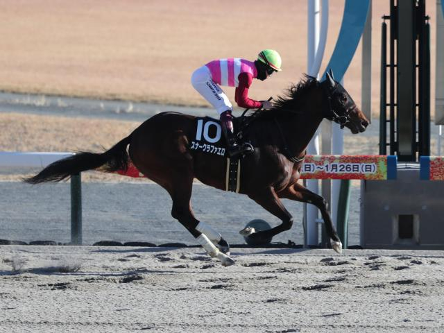 【みやこS展望】データが後押しするスナークラファエロ、中心は4歳馬