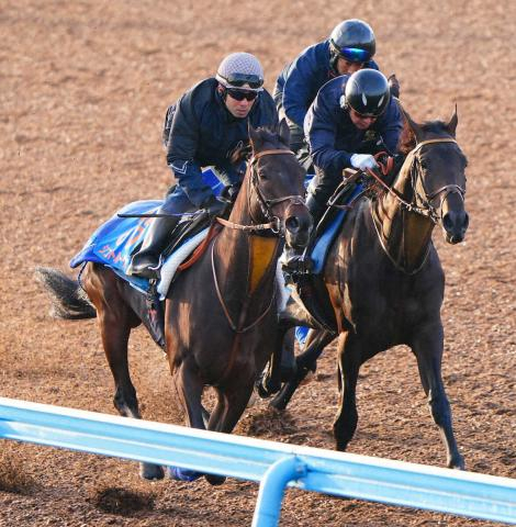 【アルゼンチン共和国杯】シュトルーヴェ　絶好の手応えで半馬身先着「十分仕上がった」