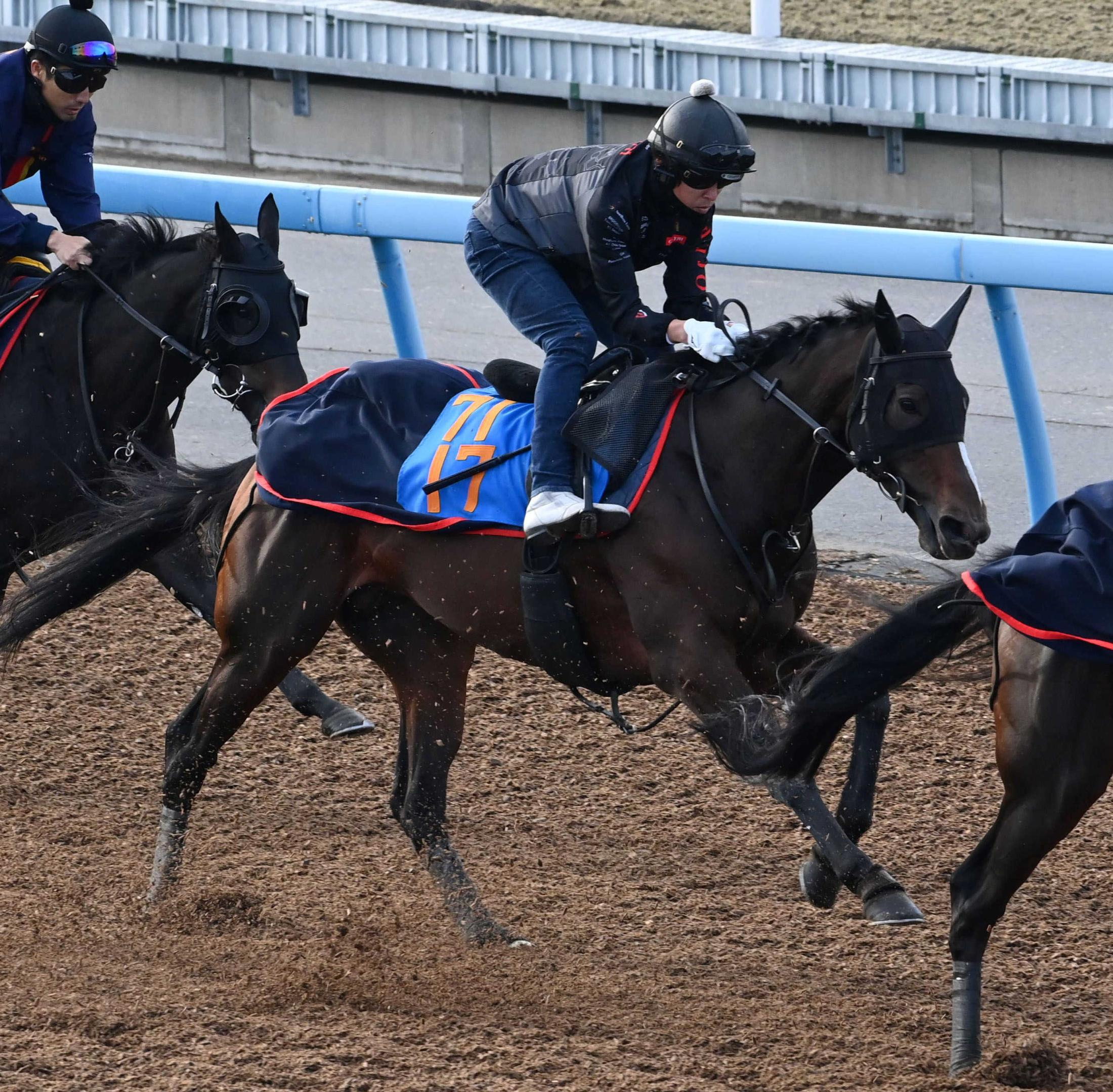 【アルゼンチン共和国杯】スティンガーグラス　好仕上がり　馬体並べてフィニッシュ　体調＆動き＆質も上々