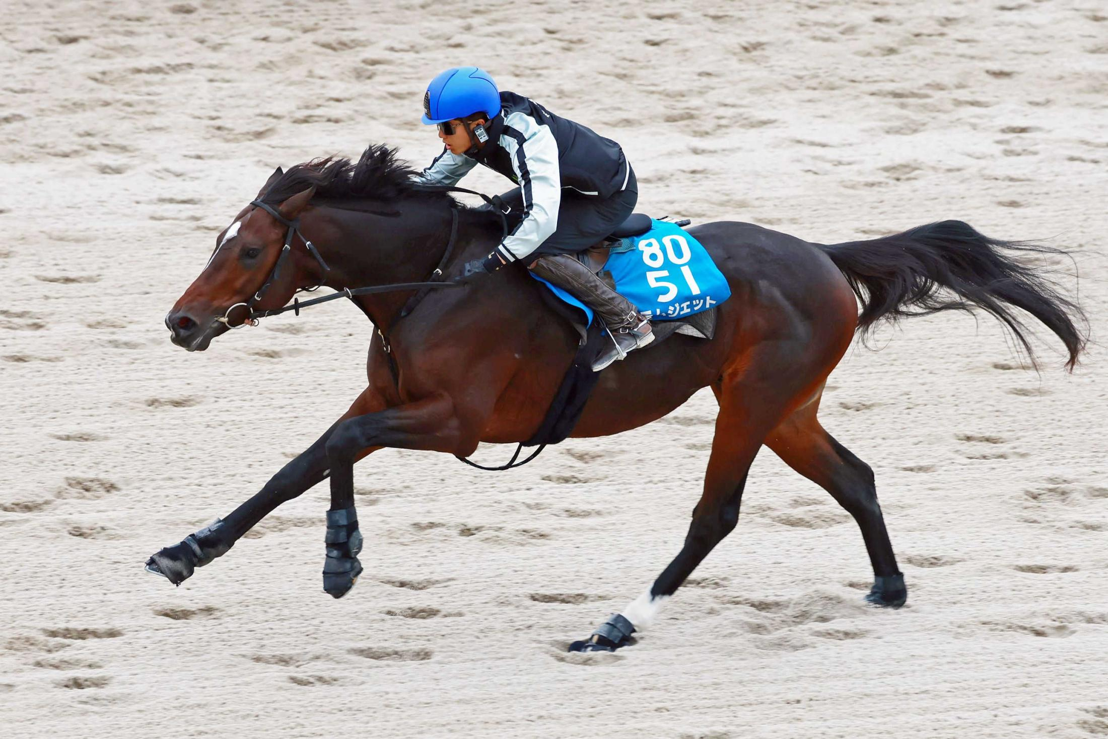 【みやこＳ】ラムジェット　実戦さながらの鋭い伸び脚　佐々木師「ストライドも良くていい感じ」