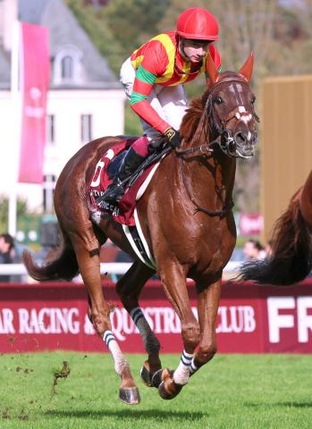 【注目馬動向】ビザンチンドリームが香港ヴァーズを受諾　ジューンブレアは香港スプリントへ