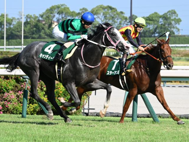 【デイリー杯2歳S想定馬・騎手】キャンディード、ストームサンダーなど12頭