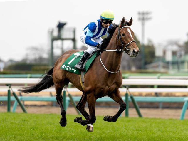 【AR共和国杯・馬体重】ホーエリートは482kg(+10)、スティンガーグラスは474kg(-8)