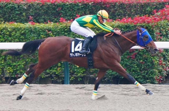 【東京9R・オキザリス賞】サトノボヤージュが無傷2連勝　岩田望「これからの成長が楽しみ」