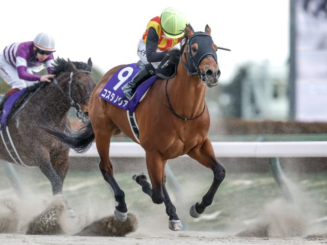 【武蔵野S】コスタノヴァ、オメガギネスらが登録