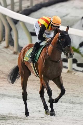 【武蔵野S　展望】G1馬コスタノヴァ反撃へ立ち上がる　好素材の3歳馬ルクソールカフェに魅力