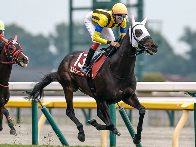 【AR共和国杯レース後コメント】ミステリーウェイ松本大輝騎手ら