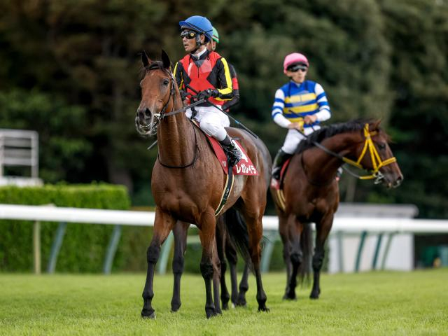 エリザベス女王杯など3重賞/今週の競馬界の見どころ