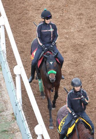 【エリザベス女王杯】2頭出し杉山晴厩舎!オーロラエックス本格化目前　陣営「楽しみの方が大きい」