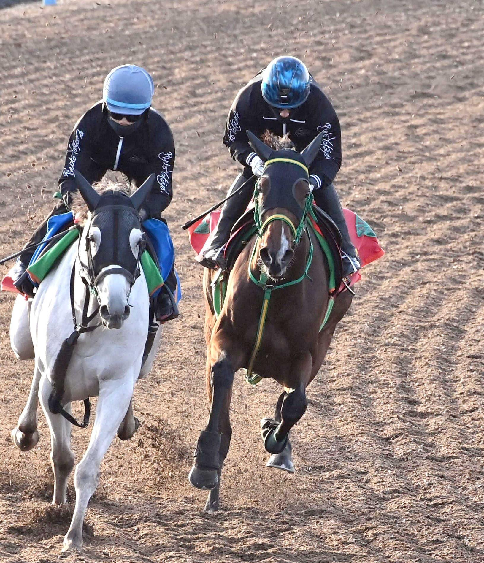 【エリザベス女王杯】ライラック　悲願のＧ１奪取へ　６歳馬に衰えなし！心身ともに充実　陣営も仕上がりに自信「４回目で一番」