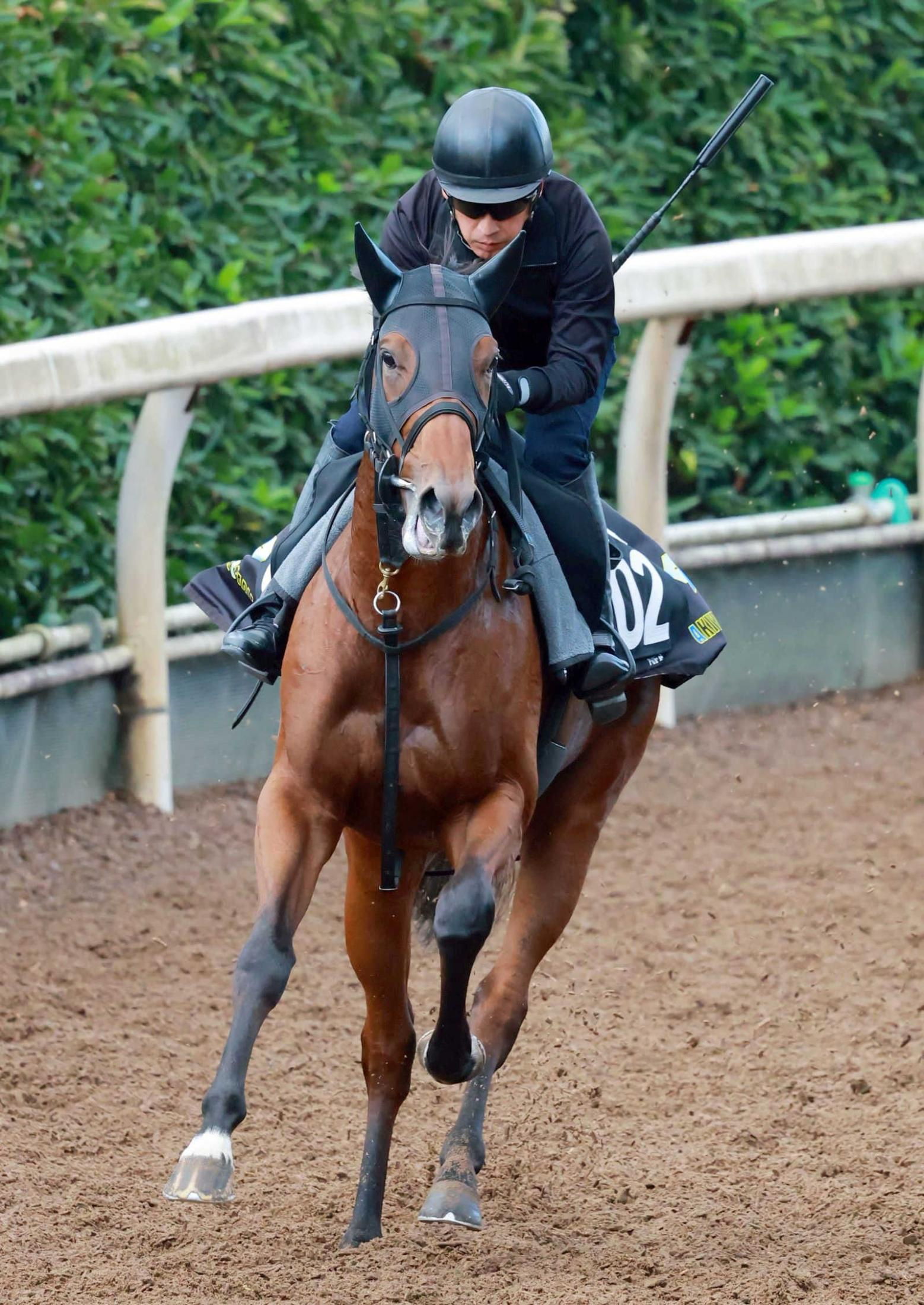 【デイリー杯２歳Ｓ】アイガーリー　初Ｇ獲りへ万全　秋山師「真面目で一生懸命走る馬」　敬愛する武豊とのタッグで挑む
